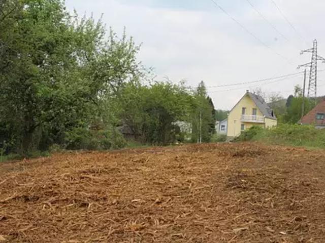 Terrain vente à Molsheim, Russ