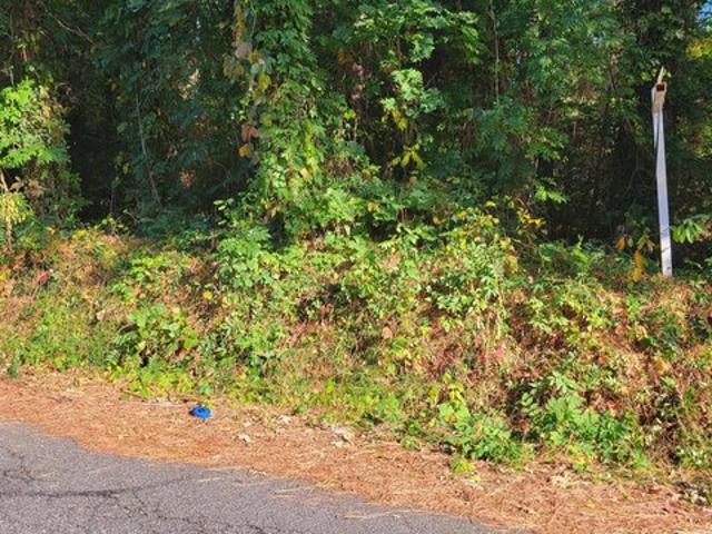 Land for sale in Cobb Island, Maryland