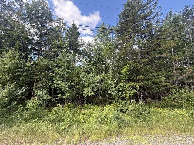 Land for sale in Bucksport, Maine