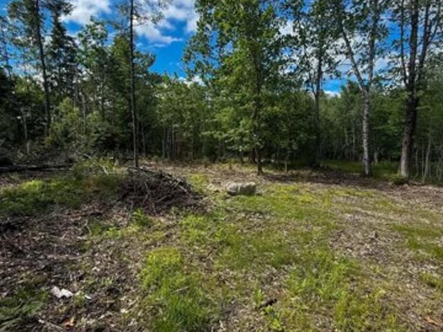 Land for sale in Bucksport, Maine