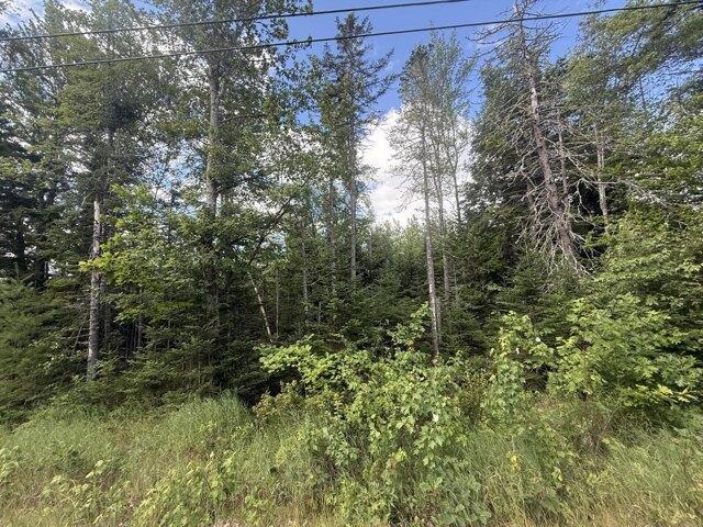 Land for sale in Bucksport, Maine