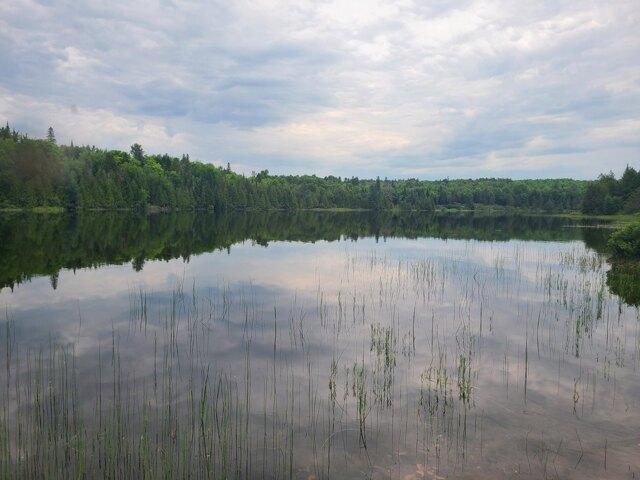House for sale in Linneus, Aroostook County