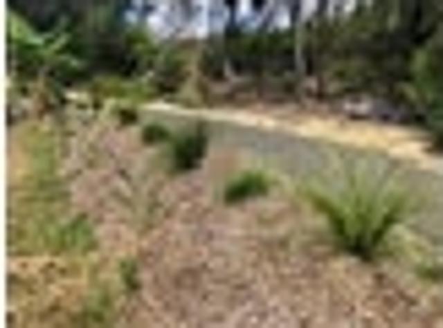 Land for sale in Karetu, Northland