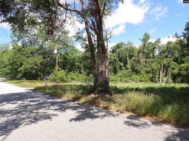 Land for sale in Batesburg