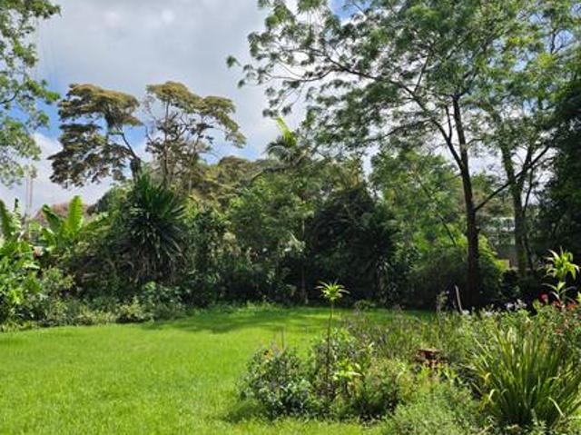 House for rent in Nyakach, Kisumu