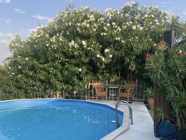 Casa en alquiler en Crist Rei, Raiguer
