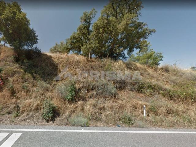 Terreno venda em Castelo Branco