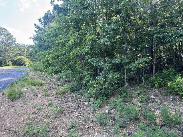 Land for sale in Tennessee
