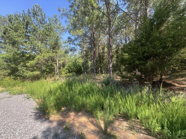 Land for sale in Tennessee