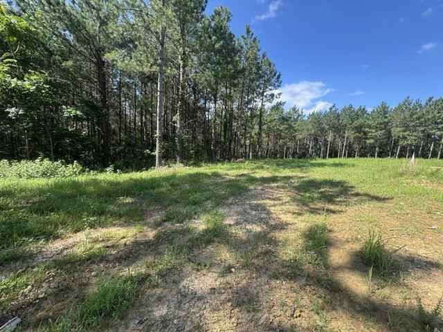 Land for sale in Tennessee