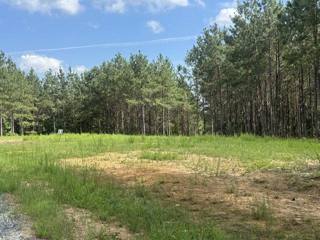 Land for sale in Tennessee