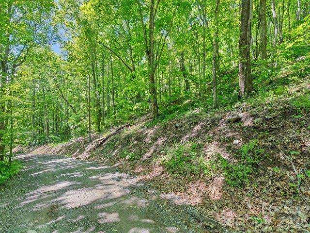 Land for sale in Haywood, North Carolina