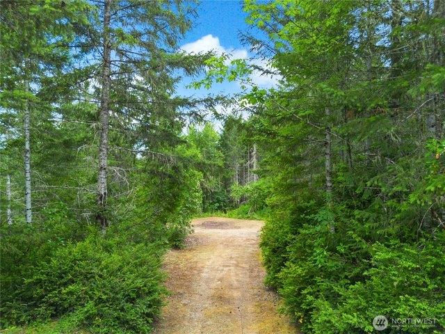 Land for sale in Lilliwaup, Washington