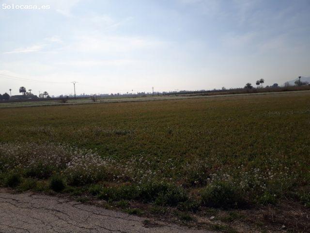 Local Comercial en venta en el Baix Segura / La Vega Baja, Valencia
