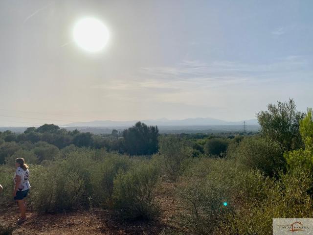 Terreno en venta en Palma, Baleares