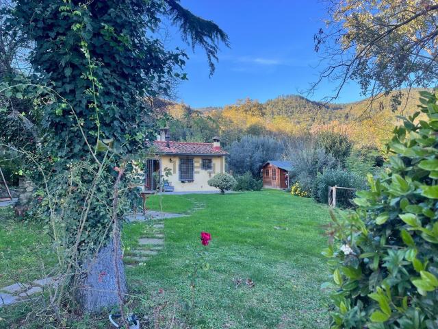 Rustico in affitto a Montorsoli, Sesto Fiorentino