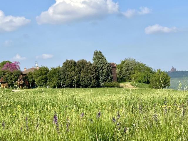 Rustico in affitto a Unione dei comuni Valli del Reno, Lavino e Samoggia, Casalecchio Di Reno