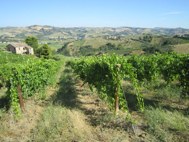 Rustico in vendita a Marche, Ascoli Piceno