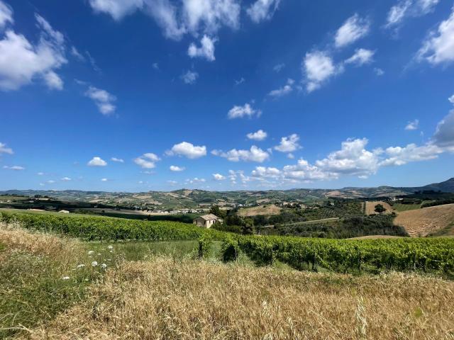 Rustico in vendita a Borgo Miriam, Offida