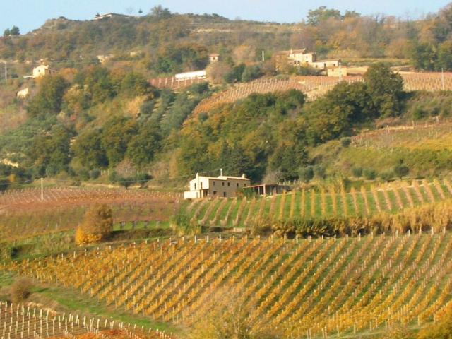Rustico in vendita a Marche, Ascoli Piceno