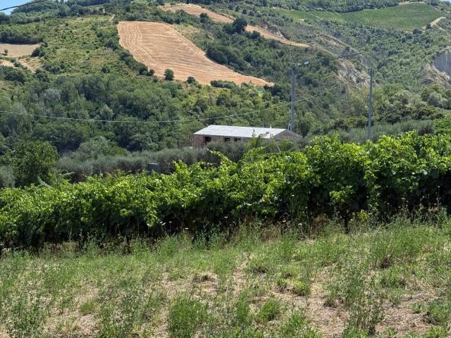 Rustico in vendita a Marche, Ascoli Piceno