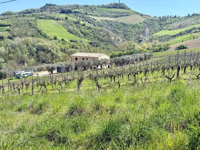 Rustico in vendita a Marche, Ascoli Piceno