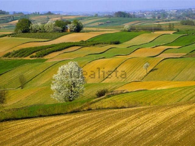 Rustico in vendita a Capalbio, Toscana