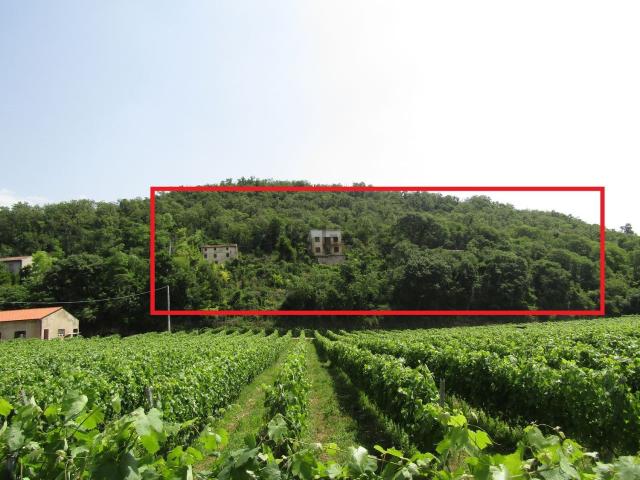 Rustico in vendita a Orgnano, Colognola Ai Colli