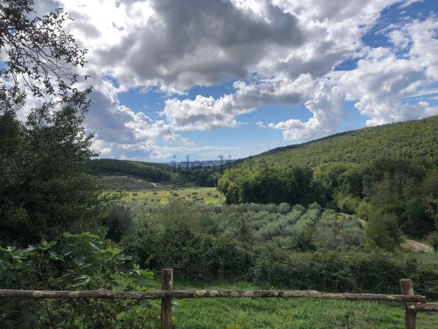 Rustico in vendita a Poggio, Massa Marittima