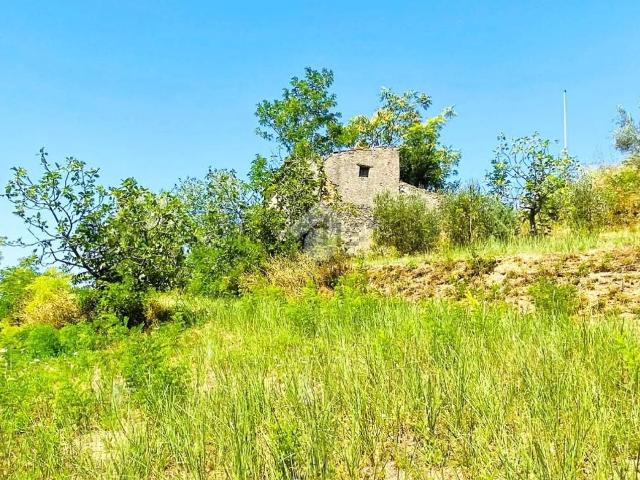 Rustico in vendita a Calabria, Cosenza