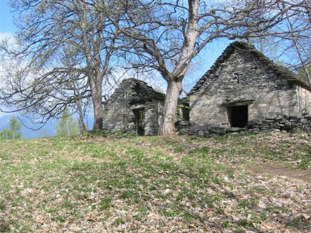 Rustico in vendita a Piemonte, Verbano-cusio-ossola