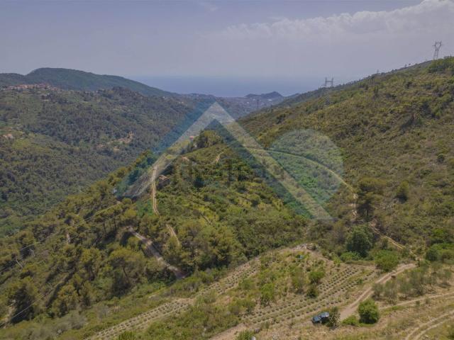 Rustico in vendita a Seborga, Liguria