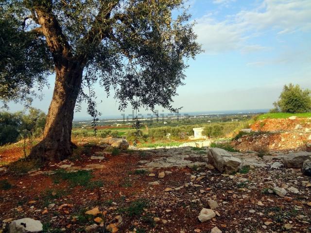Rustico in vendita a Puglia, Brindisi