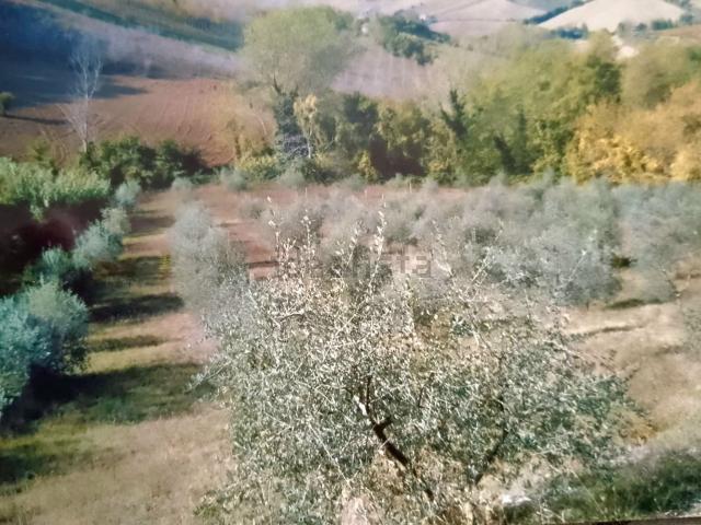 Rustico in vendita a Montelparo, Fermo