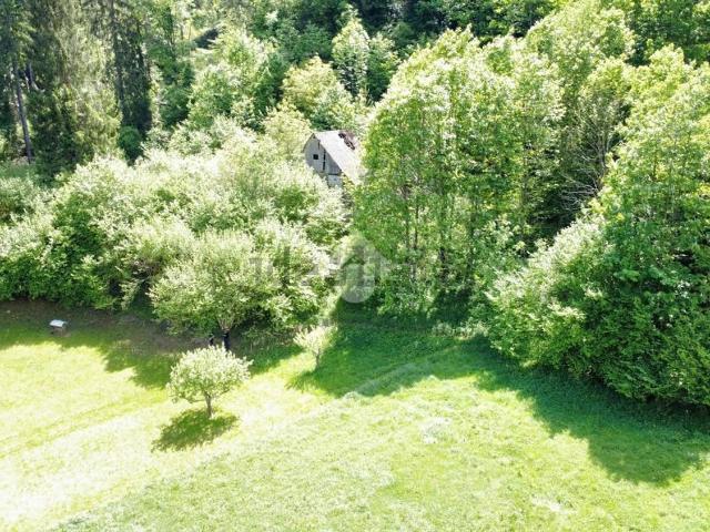 Rustico in vendita a Prato Carnico, Friuli-Venezia Giulia