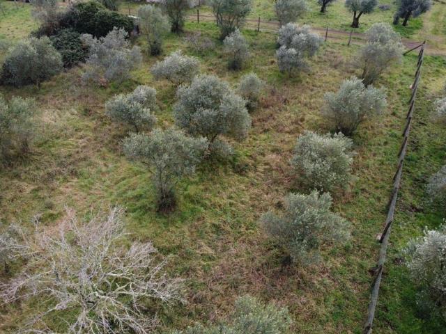 Rustico in vendita a Viterbo, Lazio