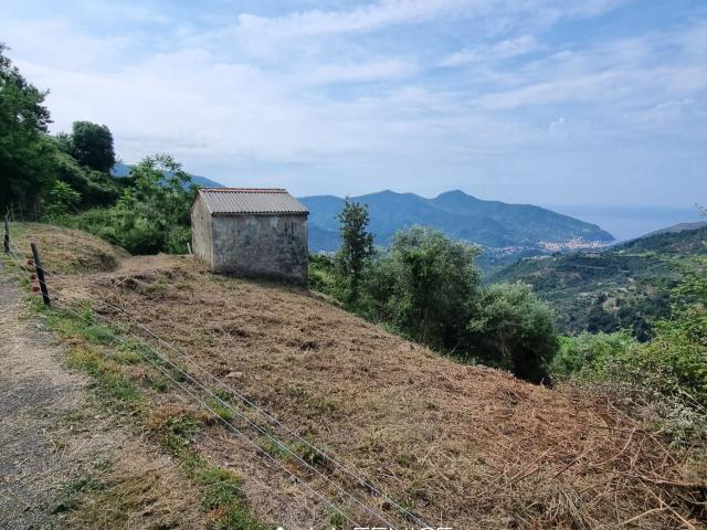 Rustico in vendita a Levanto, Liguria