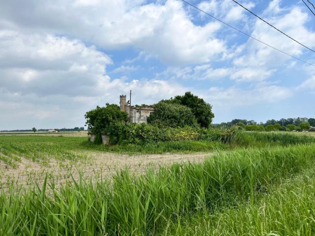 Rustico in vendita a Codevigo, Veneto