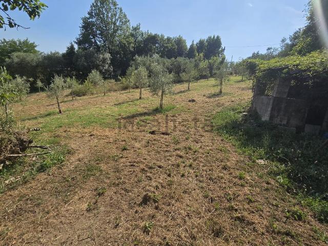 Rustico in vendita a Torrice, Lazio