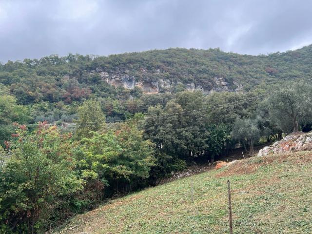 Rustico in vendita a Mossano