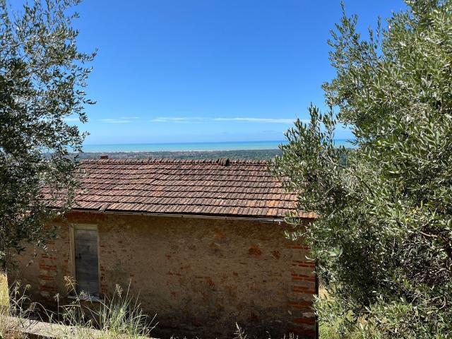 Rustico in vendita a Tonfano, Toscana