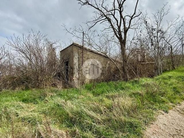 Rustico in vendita a Marche, Pesaro E Urbino