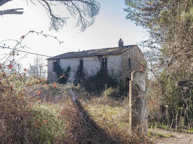 Rustico in vendita a Suvereto, Toscana