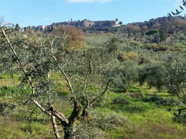 Rustico in vendita a Fabro, Umbria