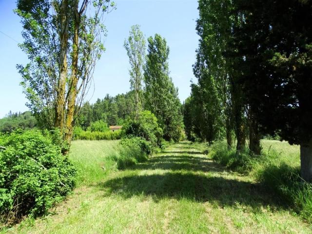 Rustico in vendita a San Miniato, Toscana