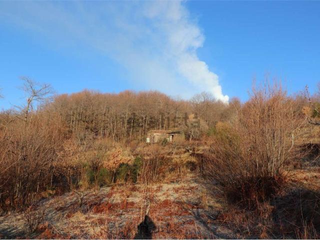 Rustico in vendita a Zafferana Etnea, Sicilia