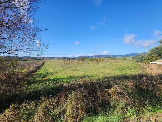 Rustico in vendita a Signa, Toscana