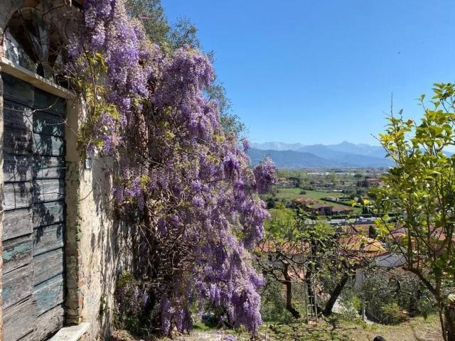 Rustico in vendita a Cafaggio, Ameglia