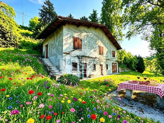 Rustico in vendita a Solto Collina, Lombardia