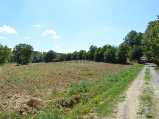 Rustico in vendita a Lucignano, Toscana